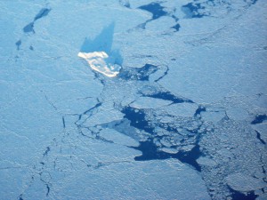 Stukken afgebroken gletsjer in het westijs